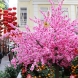 香港：遥寄相思意，“云”闹元宵节