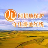 交互海报丨关于耕地保护，翻开这本答案之书