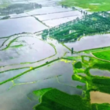 熙熙春和景明,当乘惠风助农桑!