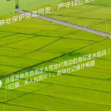 2022年中央一号文件，有这些“兴”亮点！