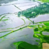 强化现代农业基础支撑——2022年中央一号文件述评之二