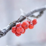 湖南省气象局解除低温雨雪冰冻Ⅳ级应急响应