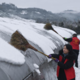 新华全媒+｜起跑定后程 虎年干劲足——节后开工首日见闻