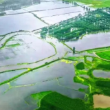 南京市溧水区芝山村:富硒农产品成为增收新产业