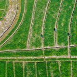 东方春来早 奋斗向未来！2022年全国两会巡礼