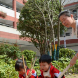 开福区清水塘小学：党建引领团队建，护绿种植育情怀