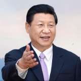 关于民主，习近平这样说