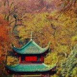 学习进行时丨这十年，习近平不变的坚持