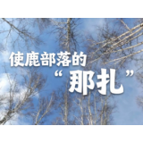 有事好商量丨使鹿部落的“那扎”