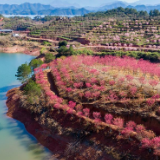 春染大地乡村美