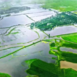 石门多措并举治理耕地抛荒