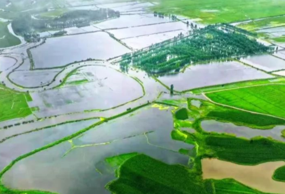 地更肥 稻更香——永州力推绿肥秸秆粪肥还田