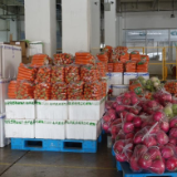 “坚持就是胜利”——记沈阳“静下来”的20天