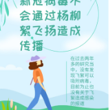 飞絮会不会传播新冠病毒?易过敏人群应如何做好防护?