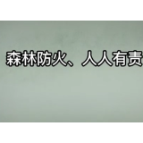 森林草原防火季｜沙画：《森林防火 人人有责》