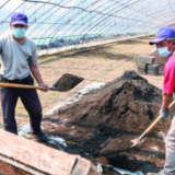 气象“良方”护航黑土粮仓