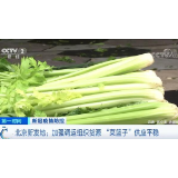 加强调运组织货源 确保北京“菜篮子”供应平稳