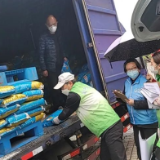 上海外籍志愿者抗疫故事