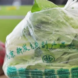 北京“囤菜天花板”了吧？我们冲向了新发地