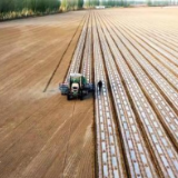 航拍“中国长绒棉之乡” 新疆阿瓦提131万亩棉花开播