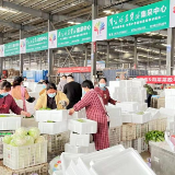 100万斤蔬菜陆续抵沪 山东多地农产品基地直供上海