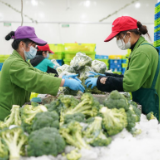 上海全力以赴做好生活物资供应 保障特殊人群需求