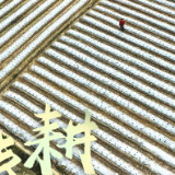 春耕备耕 不误农时