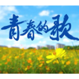 青春的歌