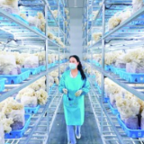 奏响“三农”发展新乐章