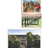 发展日新月异 群众增收致富