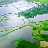 【奋进新征程 建功新时代·老区新貌】湖北罗田：念好“生态经” 山乡“地生金”