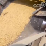 我国食品价格稳定有基础 能源供给稳定有保障