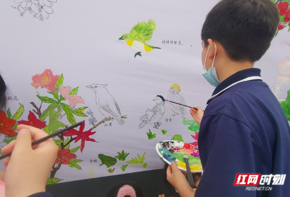 共享生物多样性之美 湖南省植物园开展系列科普活动