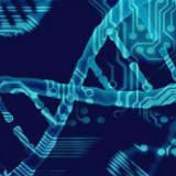 北京：以最快速度管控风险点阻断病毒传播