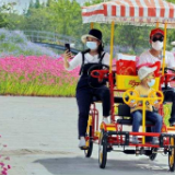 上海金山室外景区将逐步有序开放