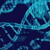 依法科学有序防控疫情