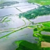 续写春天的故事|天津提升农业综合生产能力