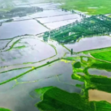 天津统筹疫情防控和经济社会发展，提升农业综合生产能力