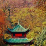 长株潭如何打造一体化的世界知名旅游目的地