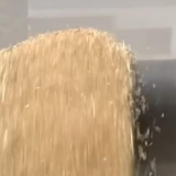 三夏时节 | 金融服务夏粮收购不留“空白点” 政策性收购仓容充足