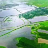 大规模跨区作业由南向北推进,疫情对小麦机收影响不大