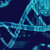 新闻1+1丨疏通堵点卡点!疫情下的物流如何更畅通?