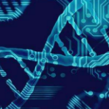 崇明百余家超市如常开放,27家菜场恢复营业