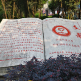 逐梦西部天地宽