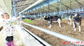 宁乡市：五福产业闹双龙