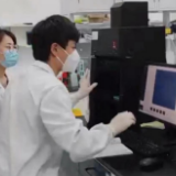 一起打开“科研盒子”,看复旦科学家们疫情期的实验室坚守