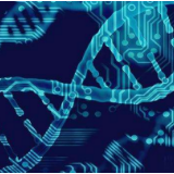 北京向社会化管理退休人员发出疫情防控倡议书