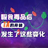 时刻在画丨吸食毒品后，TA的身体发生了这些变化……