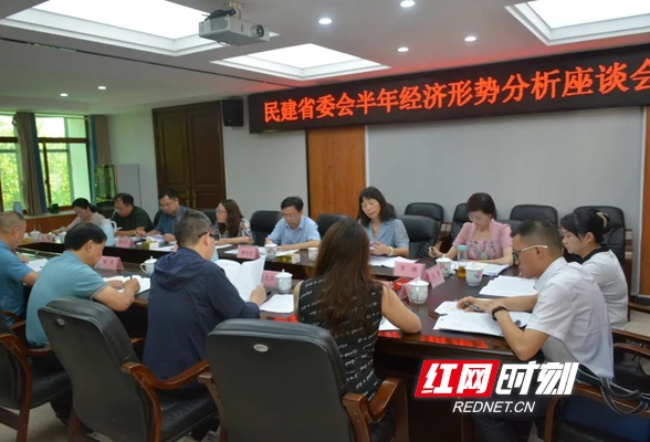民建湖南省委会召开全省半年经济形势分析座谈会 赖明勇出席