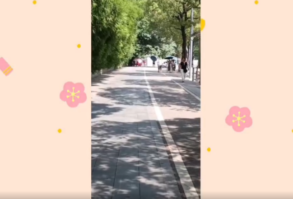 生活百态丨上班路上偶拾